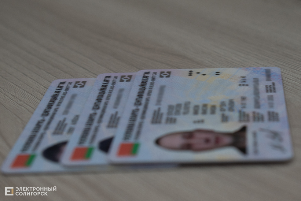Pasport 6
