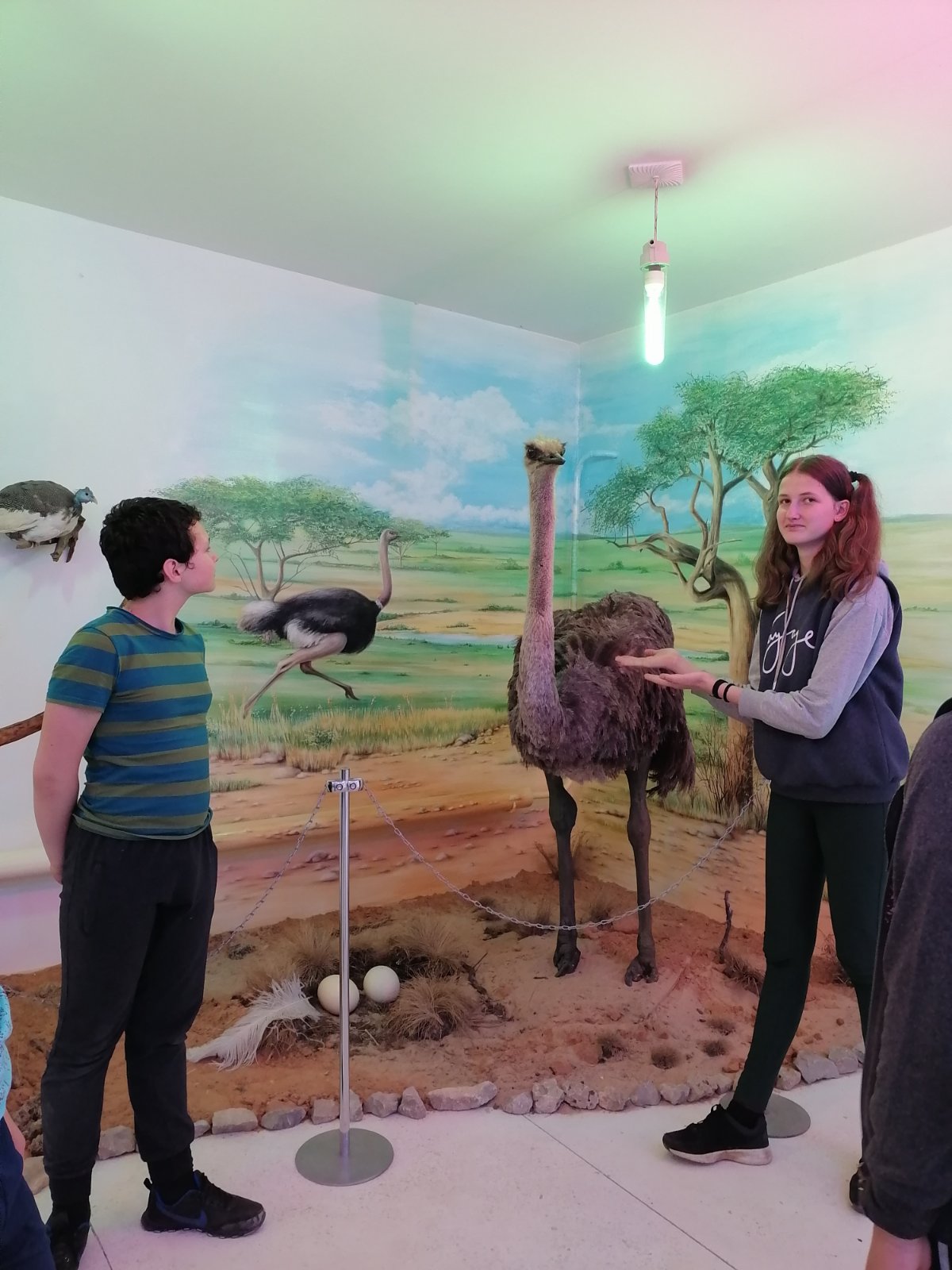 musium 4