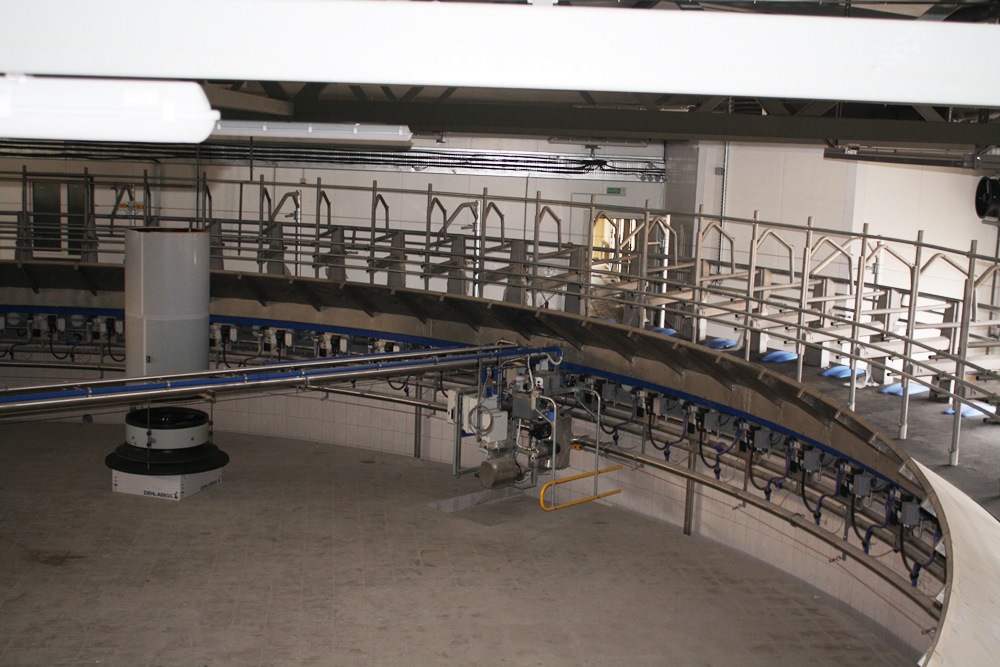 novopolesskij 6