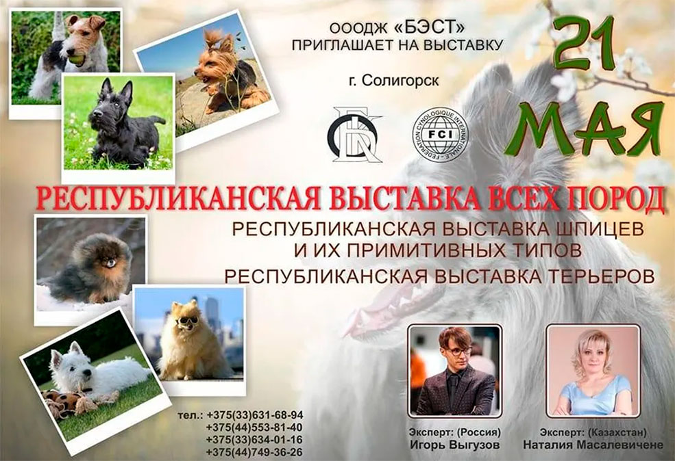 vistavka sobak 1