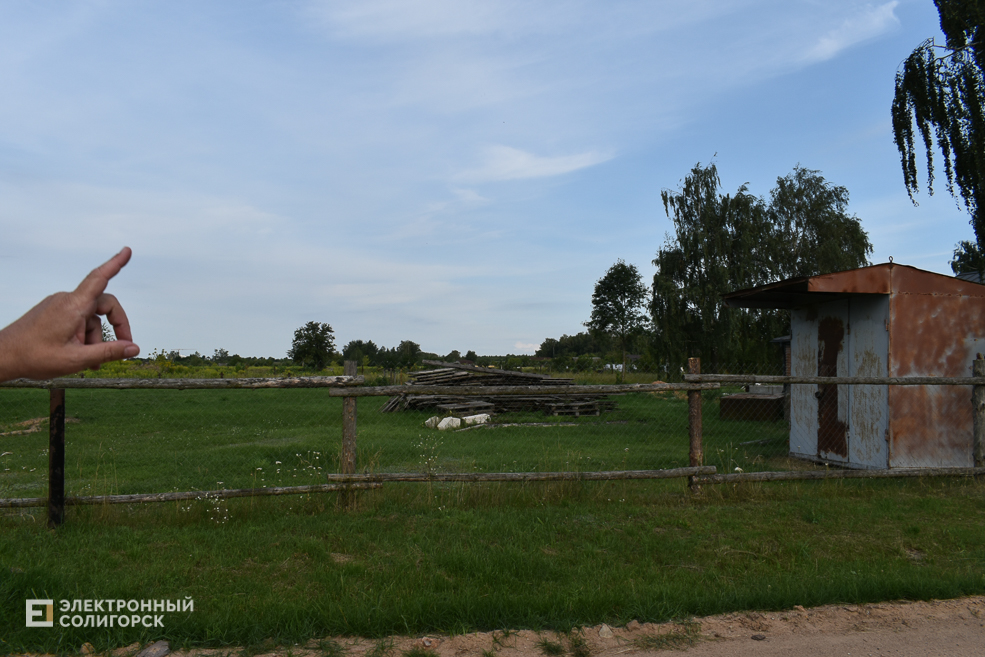Dubei old1 5