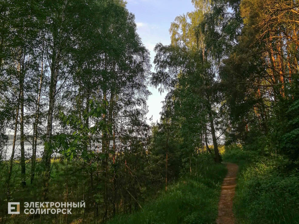 Naberezhnaya 12
