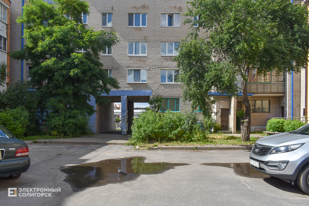 Zaslonova2 12 15