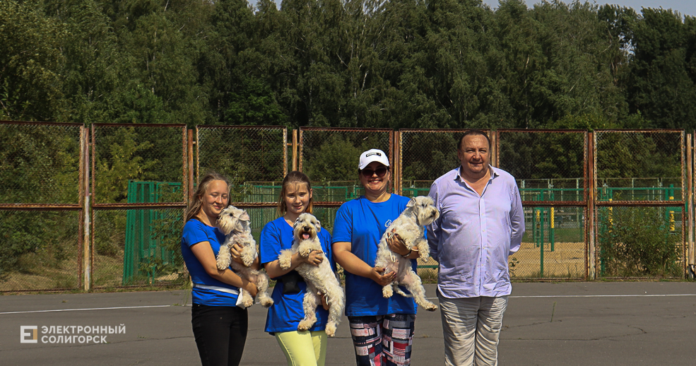 dogs2 33