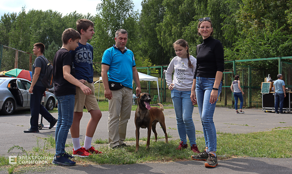dogs2 60
