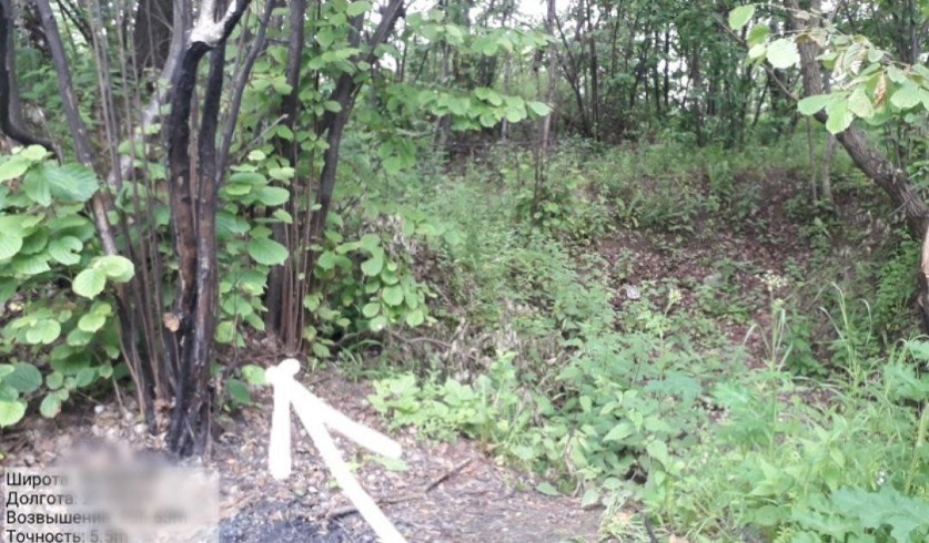 narkota 1