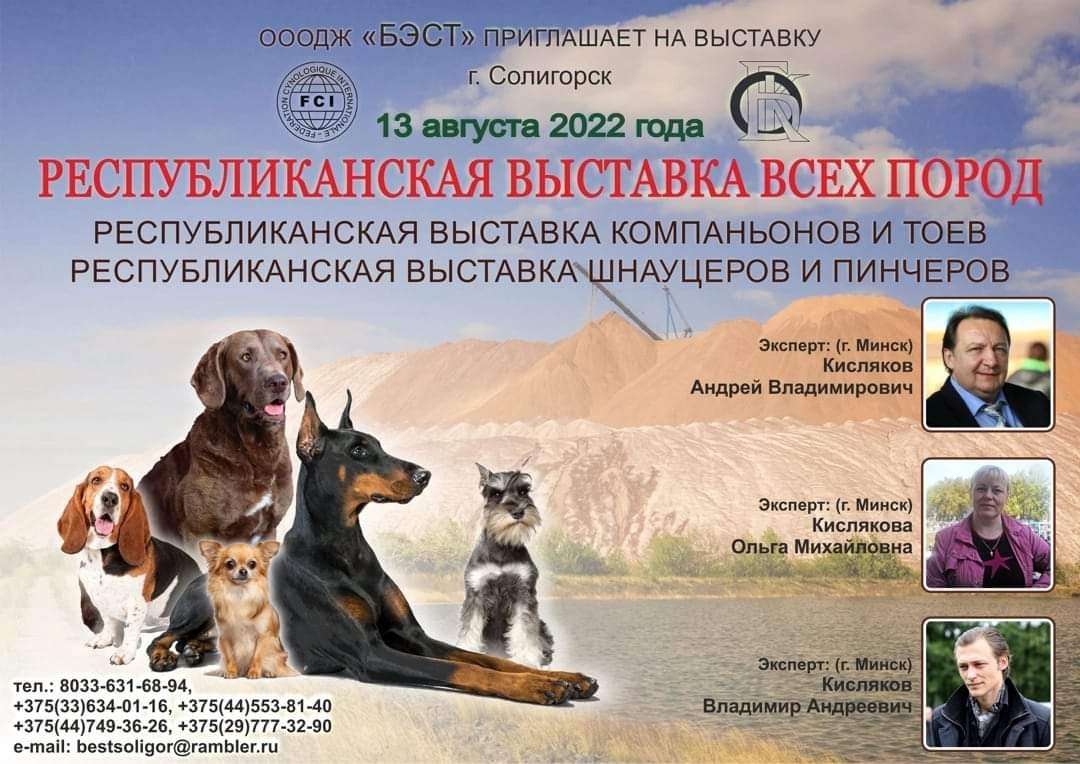 vistaavka 1