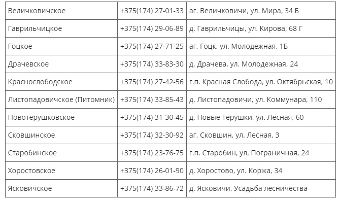 lesnich 1