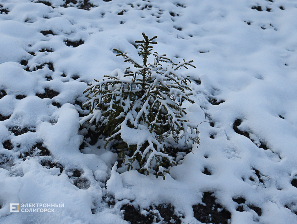 winter2 10
