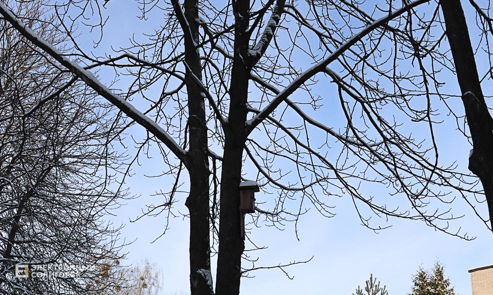 winter2 13