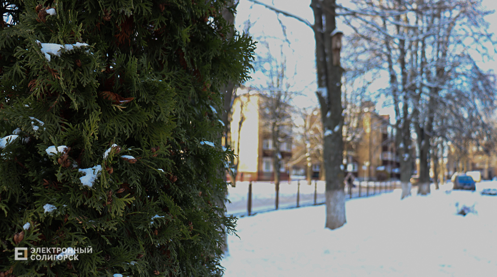 winter2 16
