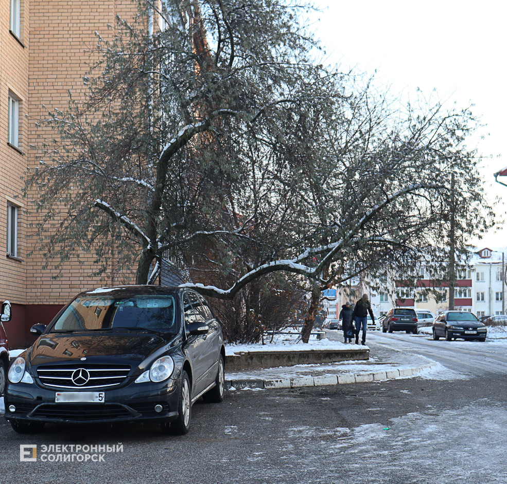 winter2 3