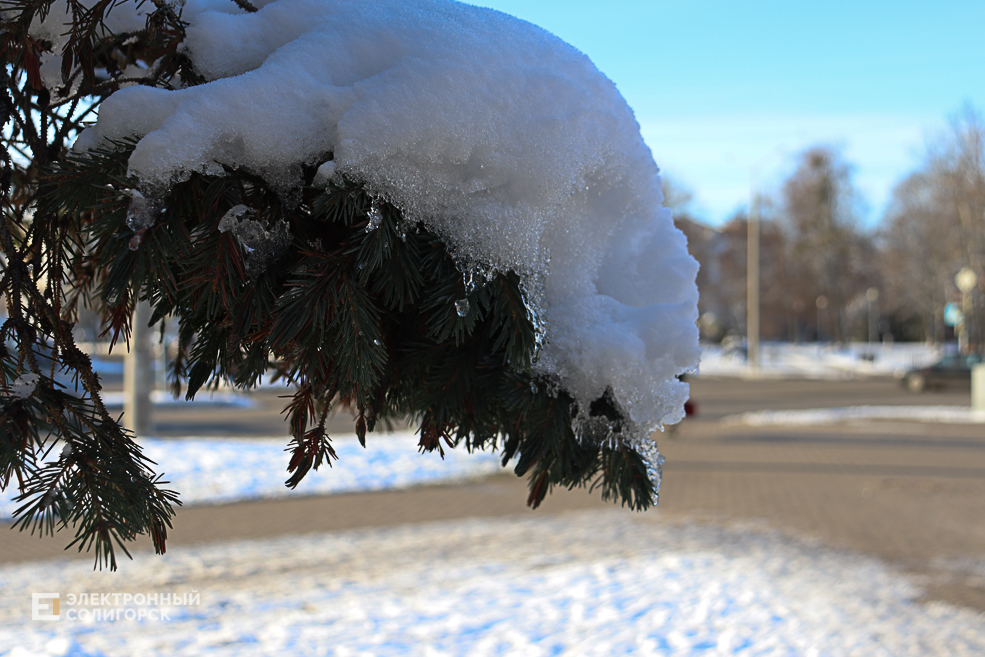 winter2 30