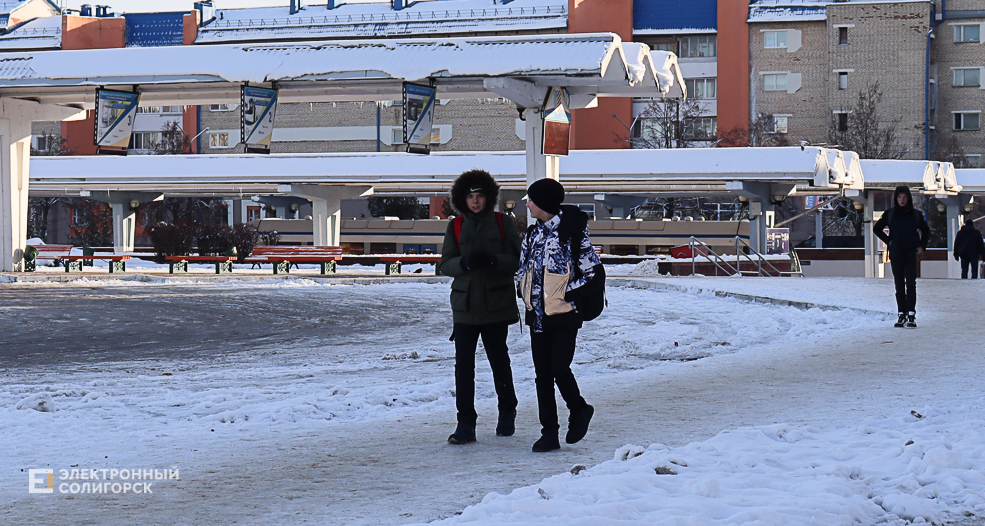 winter2 31
