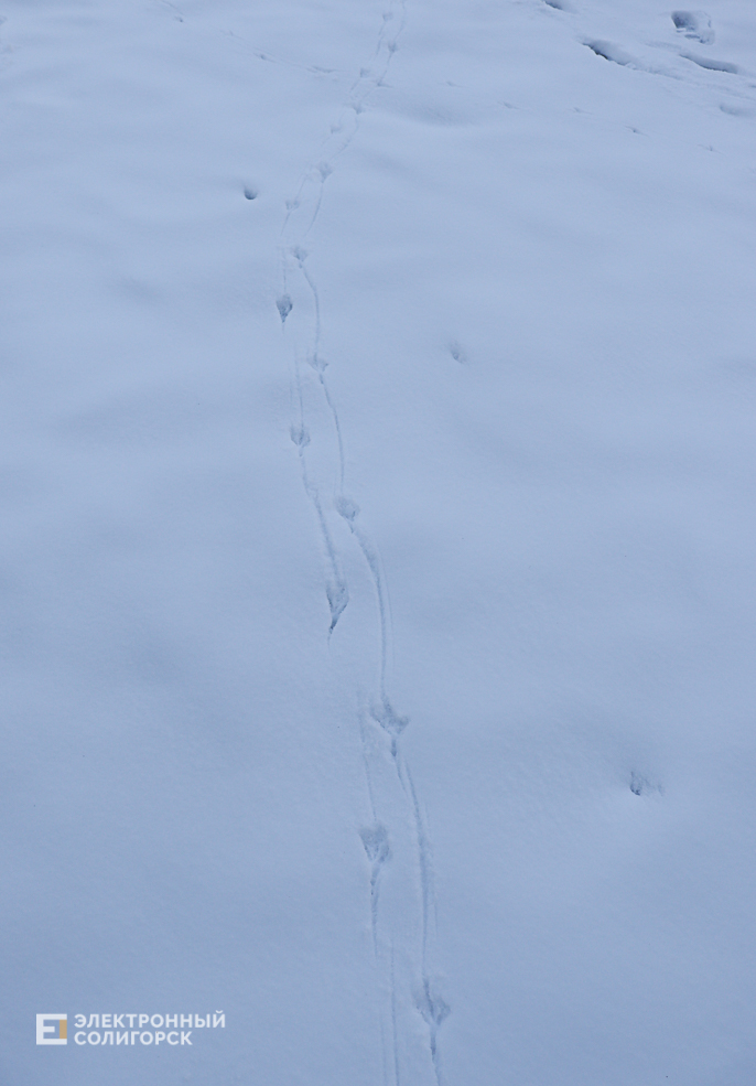 winter2 5