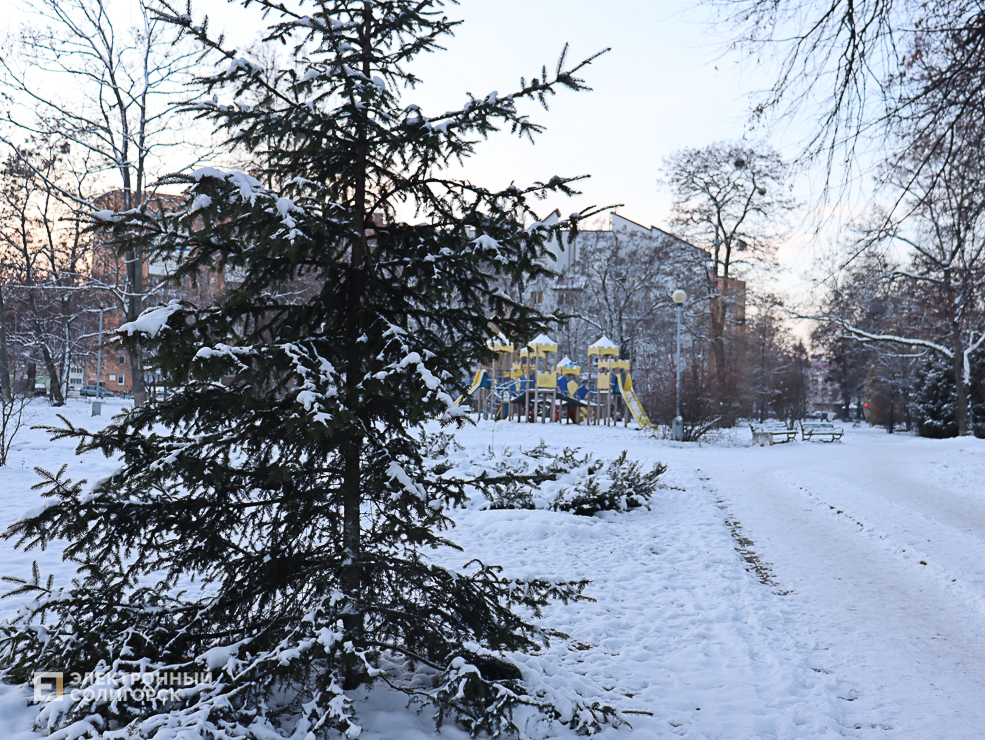 winter2 7