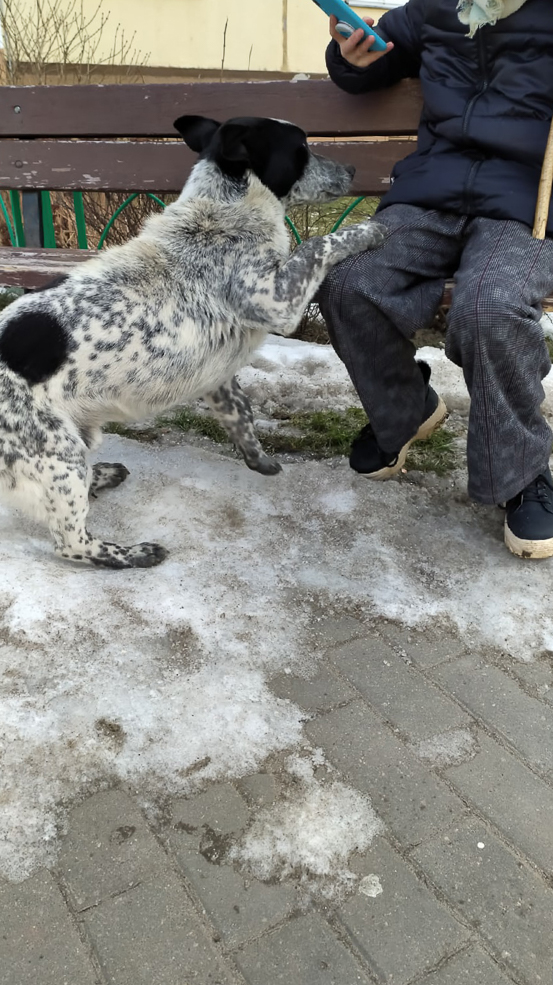 social animal 18 02 2022 5