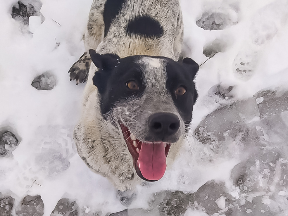social animal 18 02 2022 6