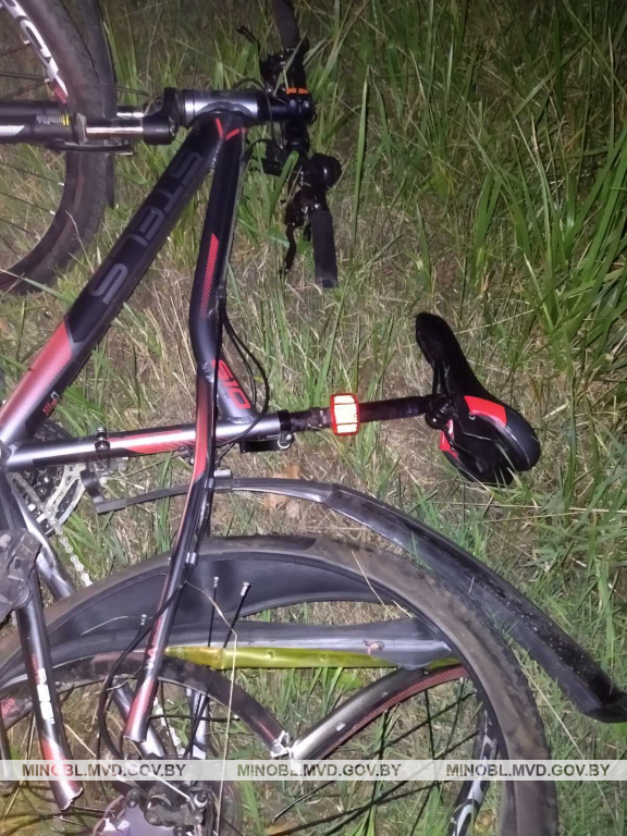 dtp velo 1