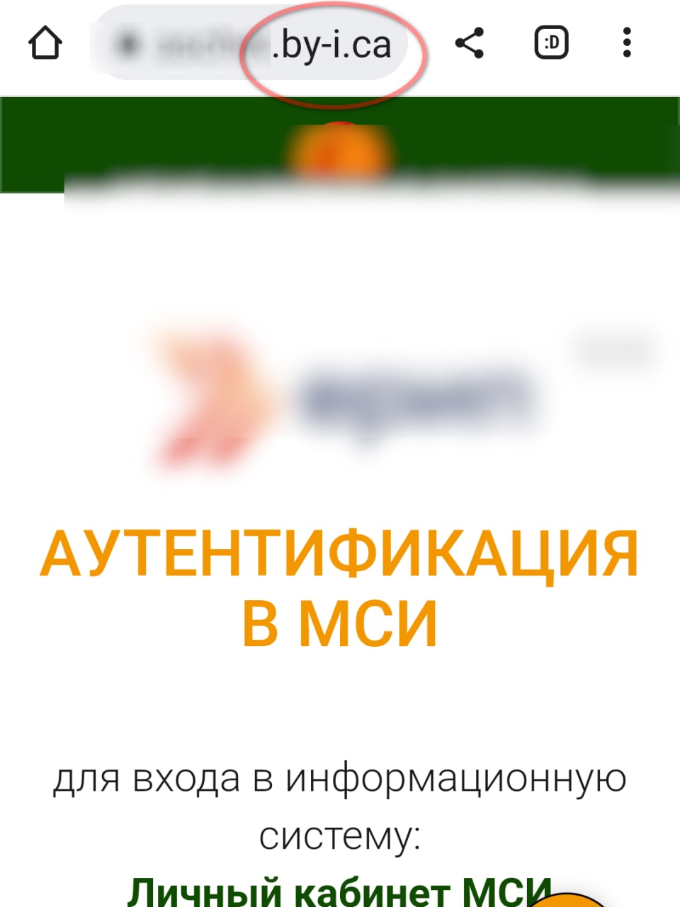 bosonogki 19