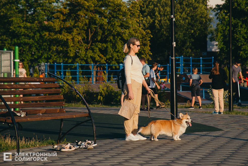 park 1