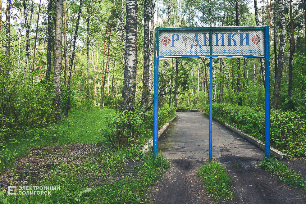 Rodniki 17