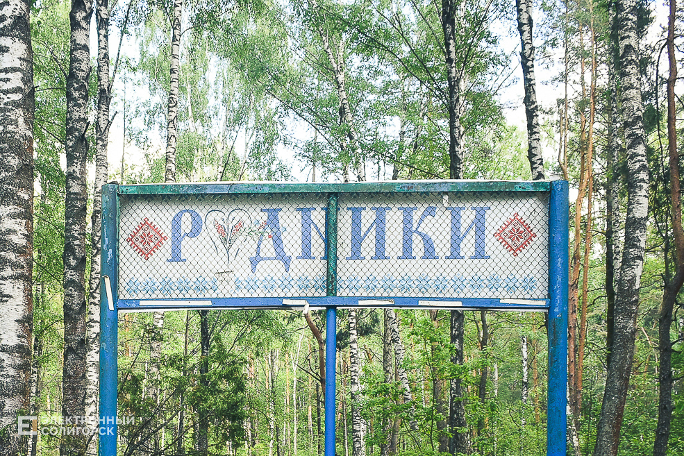Rodniki 18