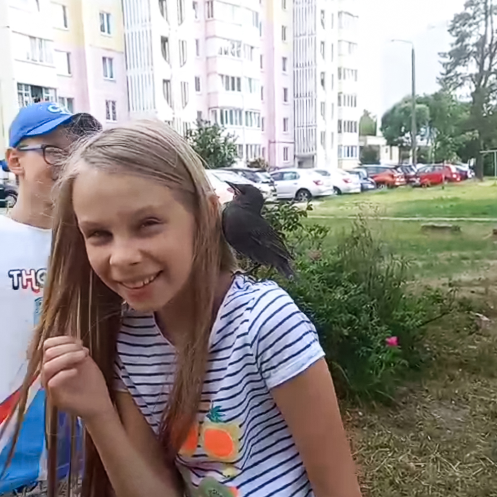 Skvorec 5