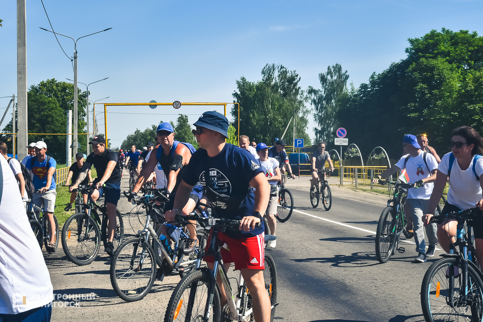 Velo 2