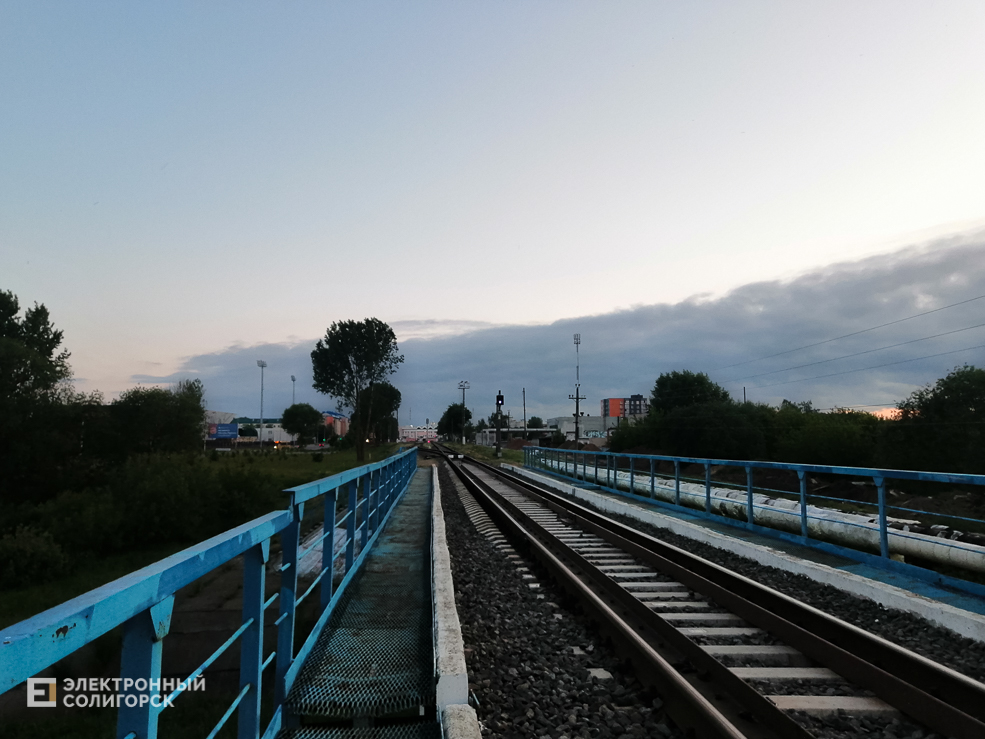 ZH D 9