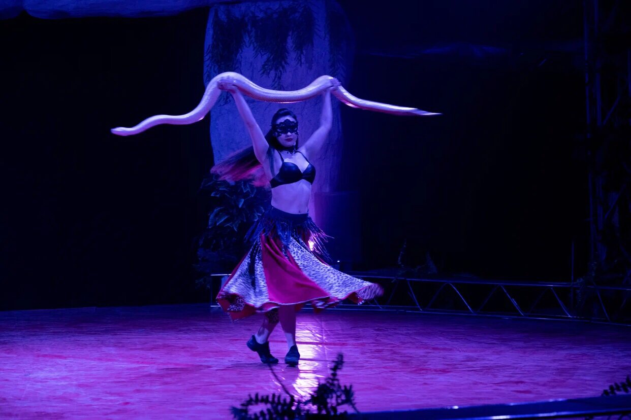 cirk 5