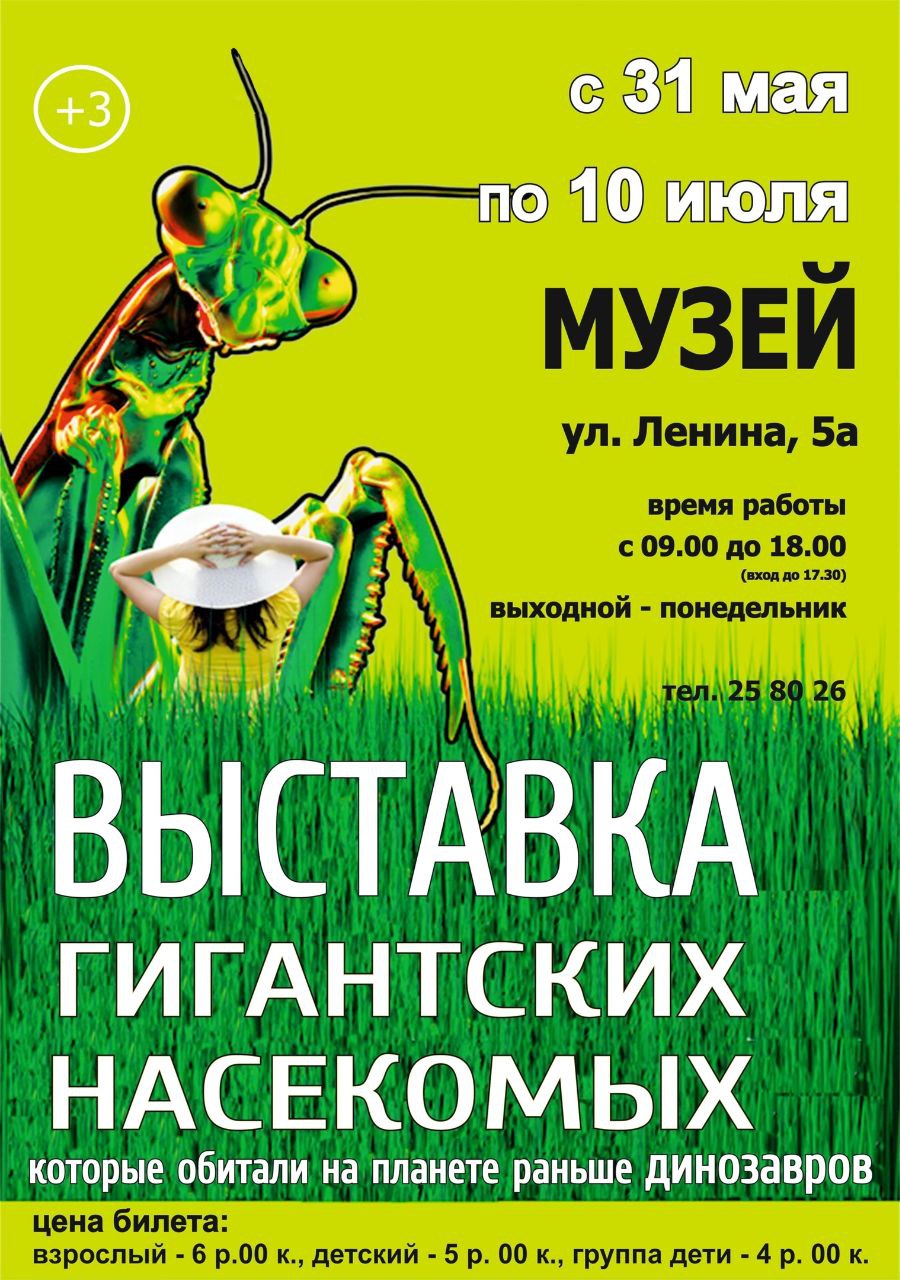 nasekomie 1