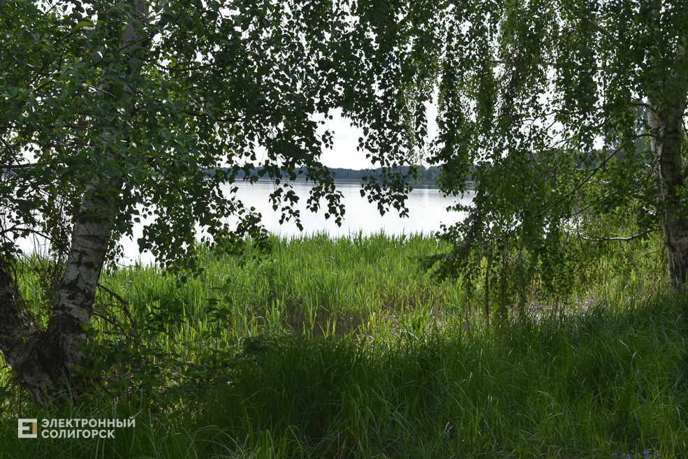 Tychiny 11