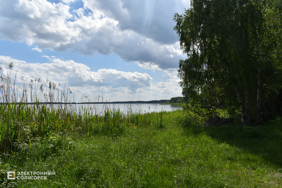 Tychiny 7