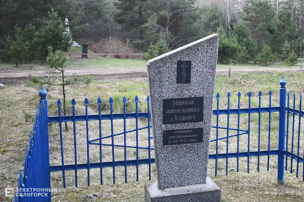 Sozh derevni 2