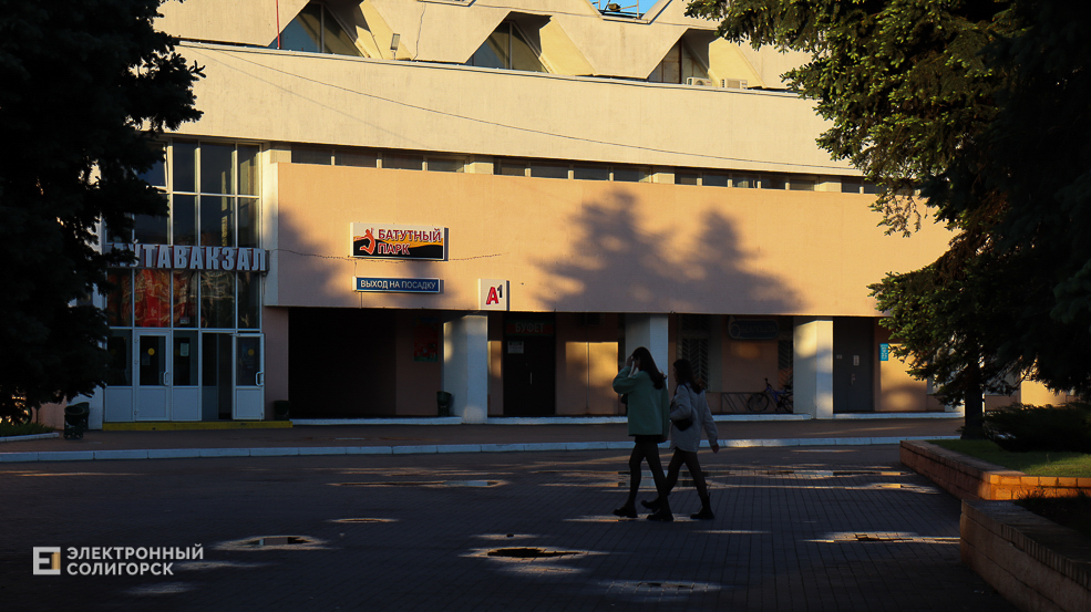 report 24