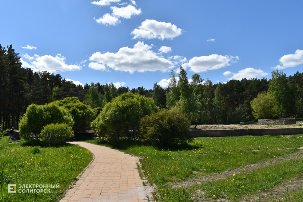 Lyagushatnik 2
