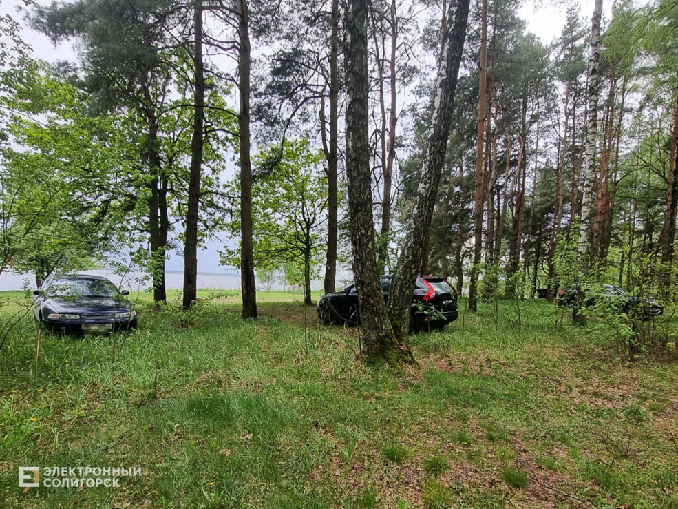 Peschanka 20