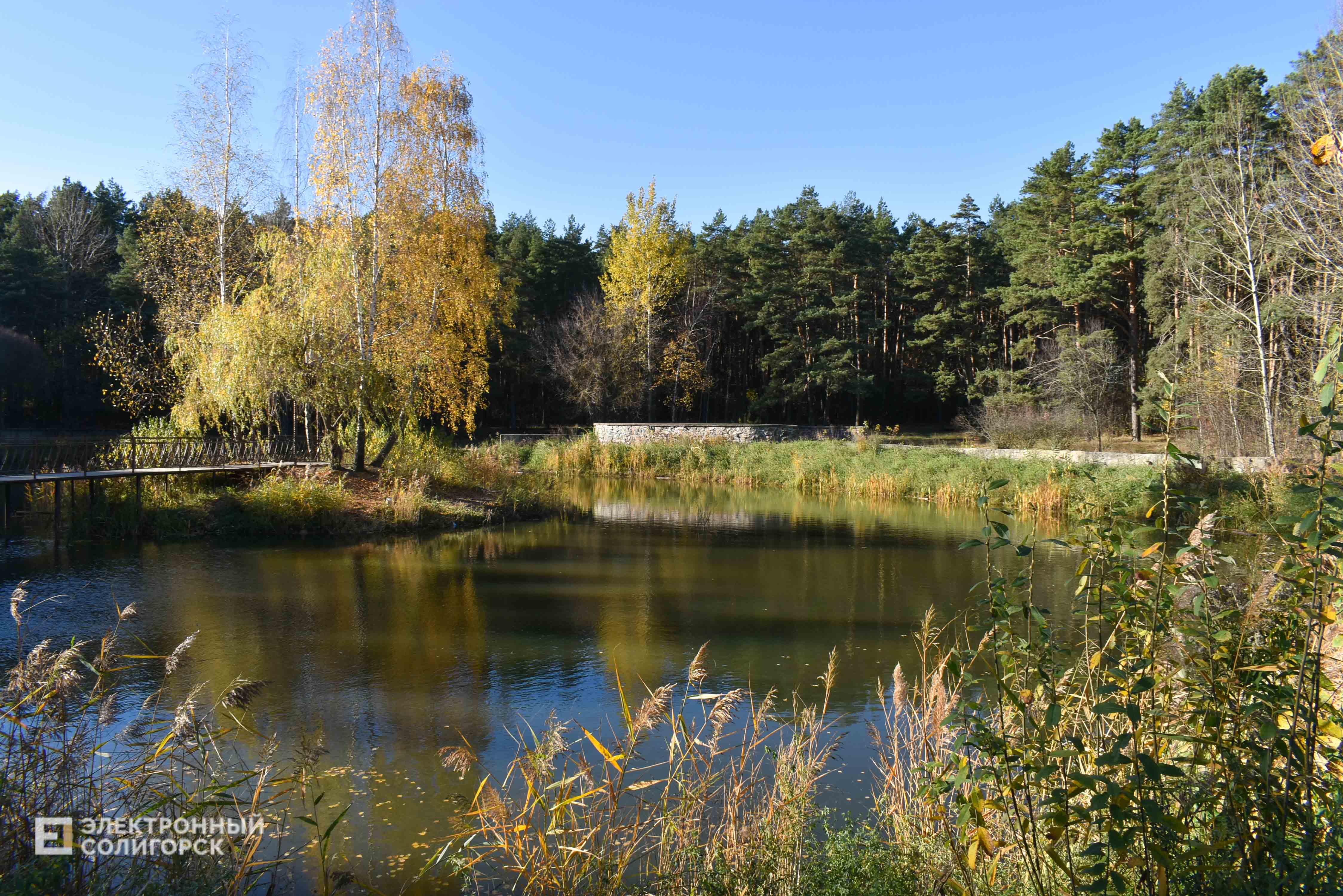 Lyagushatnik 3