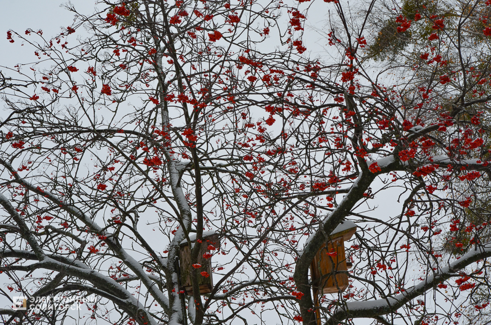 Snow Soligorsk 4