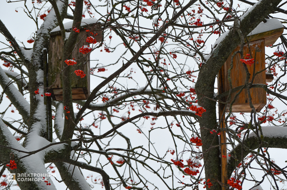 Snow Soligorsk 5