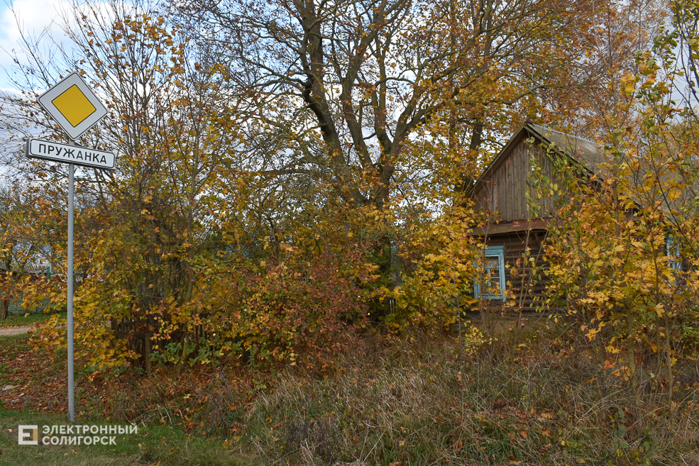 Pruzhanka 102