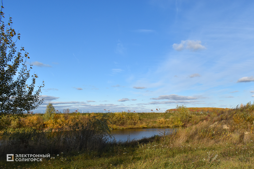 Pruzhanka 28
