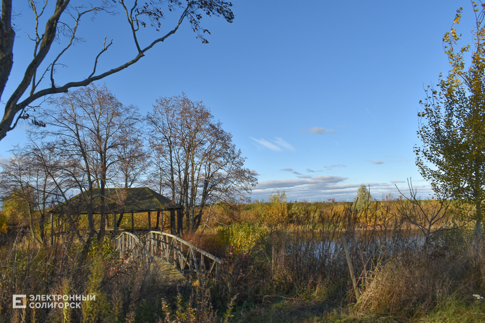 Pruzhanka 31