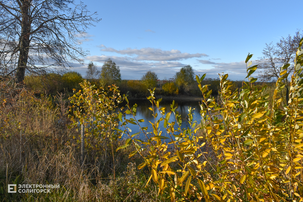 Pruzhanka 36