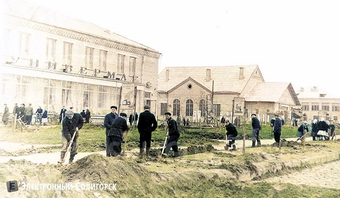 Retrocolor 43