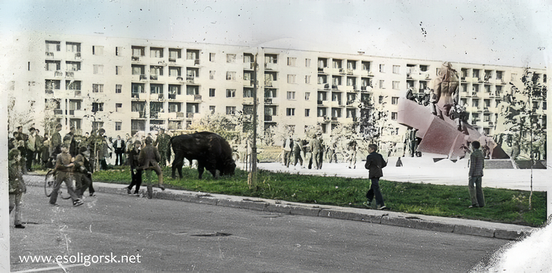 Retrocolor 52