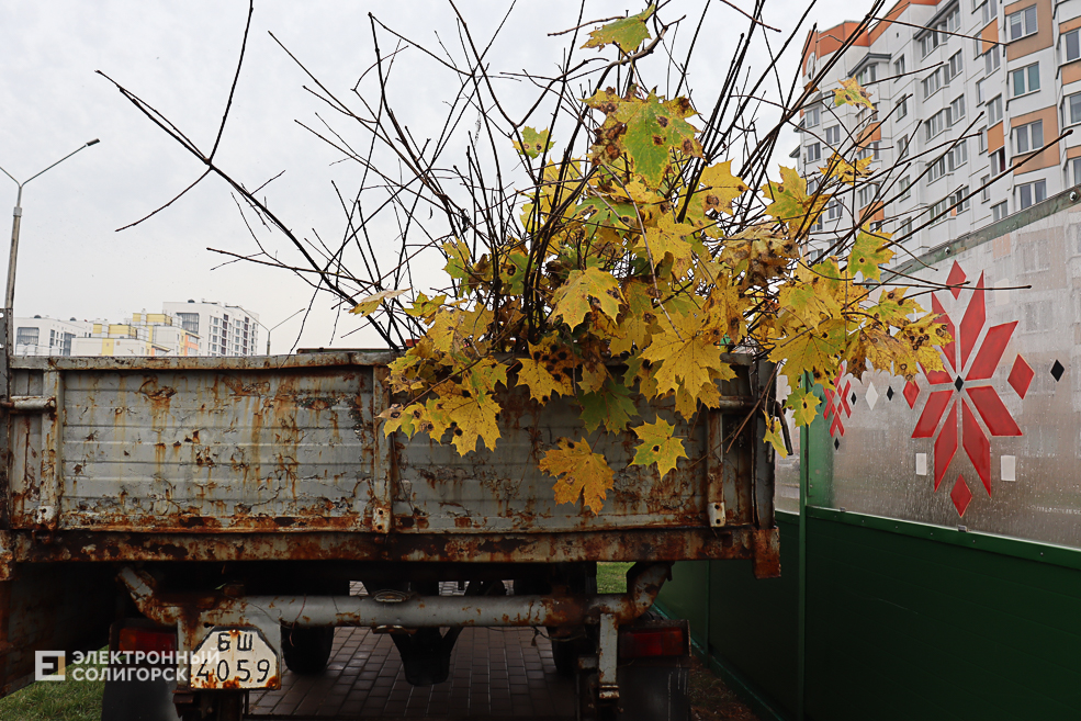 tree2 33