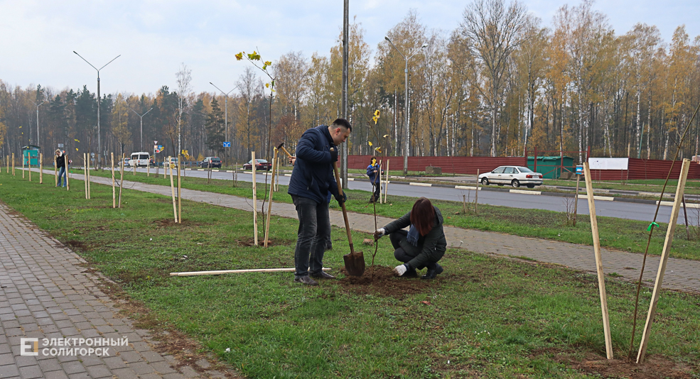 tree2 35