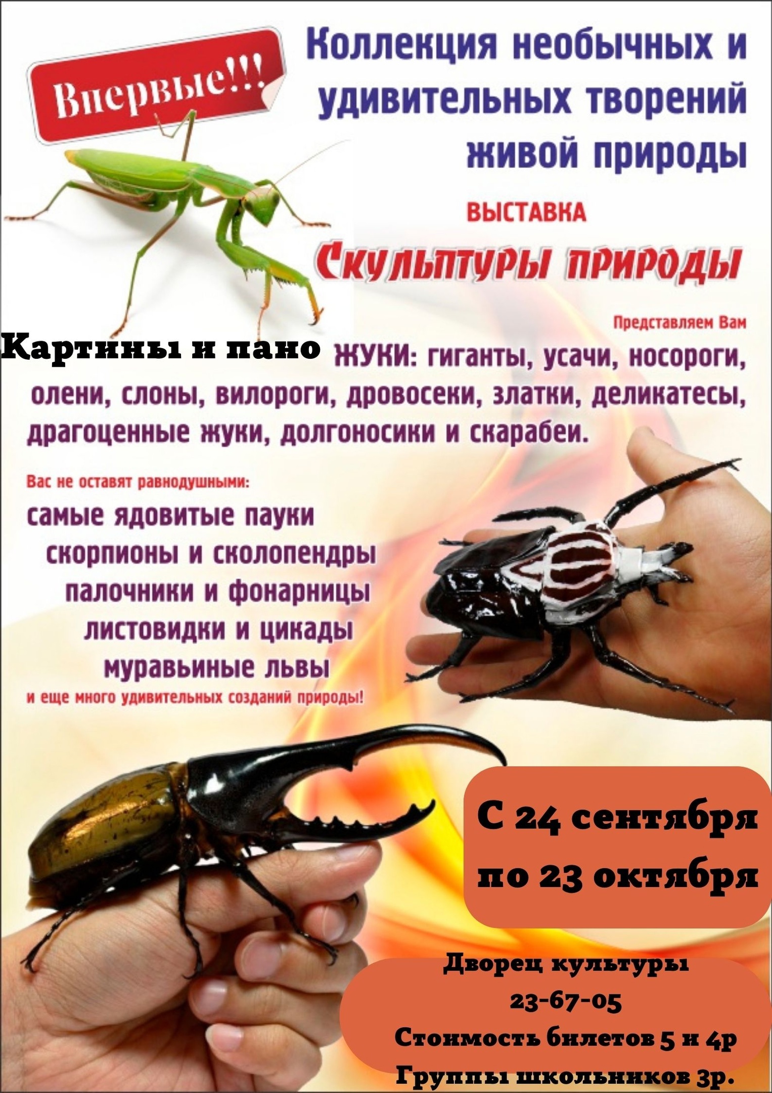 afisha nasekom 1